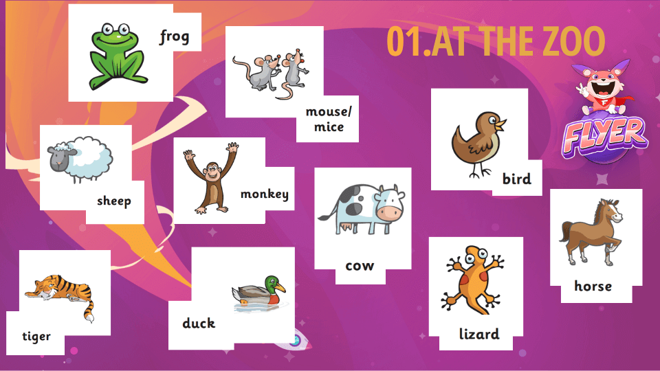 Starters vocabulary topic At the zoo