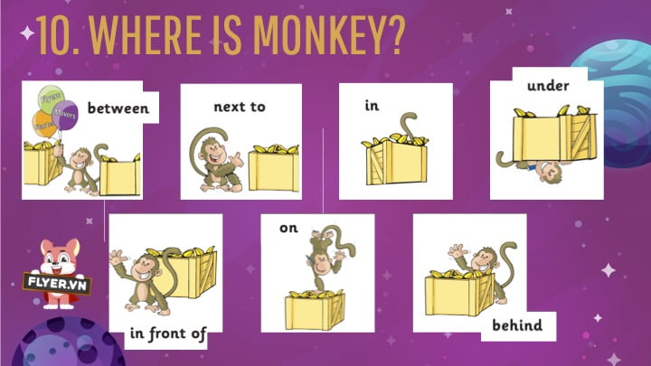 Starters vocabulary topic Where is monkey